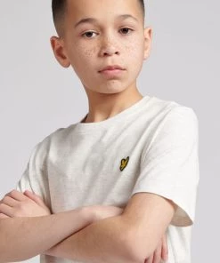 Lyle & Scott Grey Classic T-Shirt 9 Lyle & Scott Grey Classic T-Shirt -Lyle & Scott Outlet | Sale unnamed file 142 scaled