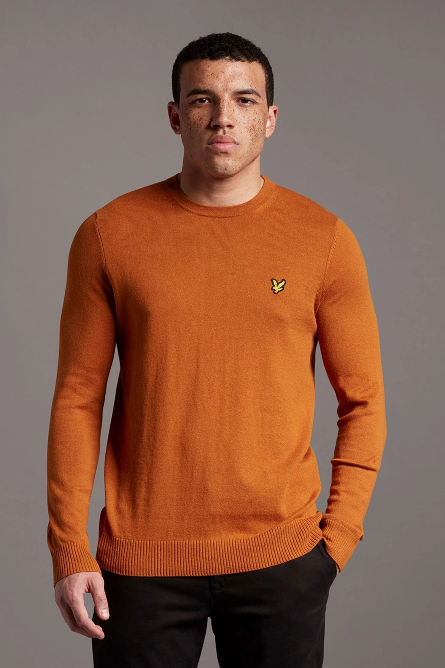 Lyle & Scott Brown Cotton Merino Crew Jumper 1 Lyle & Scott Brown Cotton Merino Crew Jumper