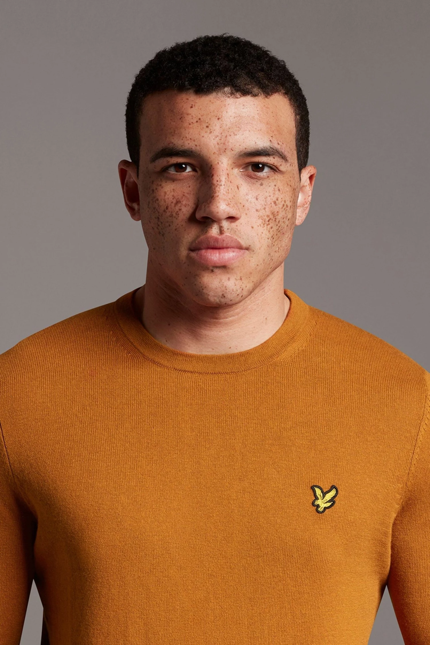 Lyle & Scott Brown Cotton Merino Crew Jumper 4 Lyle & Scott Brown Cotton Merino Crew Jumper - Image 4