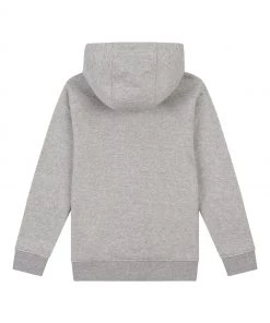 Lyle & Scott Classic Zip Hoodie Grey -Lyle & Scott Outlet | Sale unnamed file 843 scaled